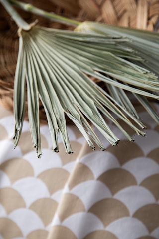 Tek Kişilik Morocco Yatak Örtüsü Seti Çok Renkli