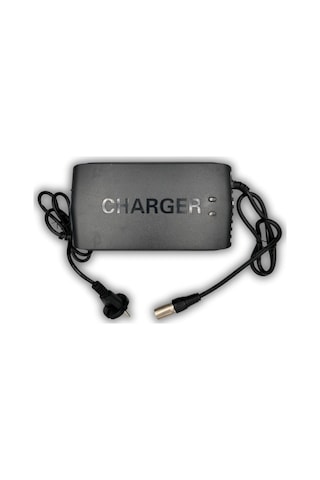 Ortec 24V 10A Engelli Araç Sandalye Akıllı Şarj Aleti