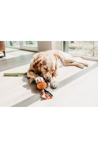 Beeztees İpli Turuncu Top Köpek Oyuncak 31,8x7,9x7,9 Cm