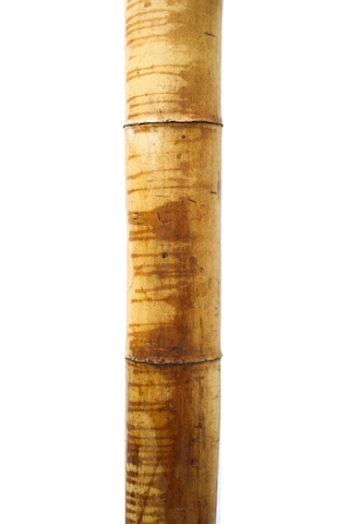 Dekoratif Bambu Xl