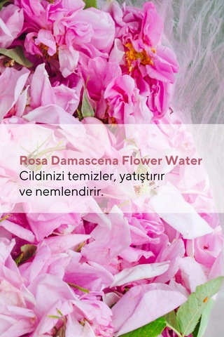 The Ceel Gözenek Sıkılaştırıcı Saf Gül Suyu Tonik Arındırıcı Etkili 100 ml
