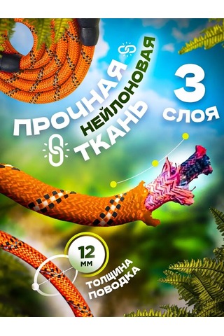 Petfort 3 M Yansıtıcı Naylon Köpek Tasması 167502168 Turuncu