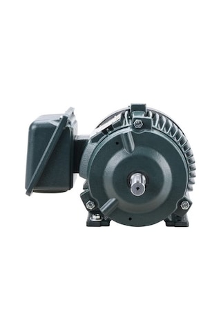 Toshiba Eqp Global Sd 2 Hp 1.5 Kw 1750 Rpm Nema 145t Elektrik Motoru 0024sdsr41a-p