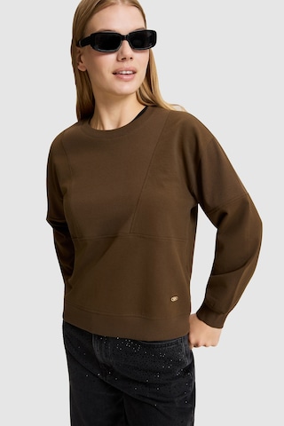 U.S. Polo Assn. Kadın Kahverengi Bisiklet Yaka Sweatshirt 50329004-vr029