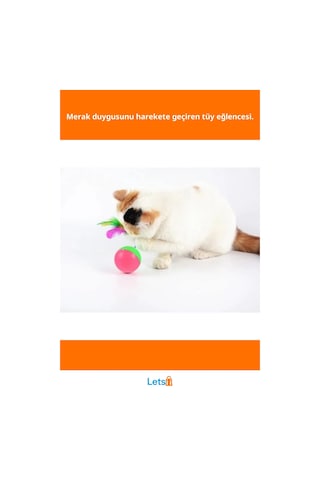 Renkli Tüy Kedi Hacıyatmaz Oyunu Eğlenceli Evcil Hayvan Oyuncağı