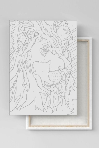 Webstyle Sayılarla Boyama Seti Kasnaklı Kayıp Malikane 40 X 50 Cm
