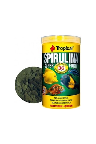Tropical Spirulina Super Forte Pul Yem 50 Gr Kovadan Bölme Tropical Spirulina Super Forte Pul Yem 50 Gr Kovadan Bölme
