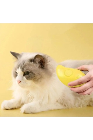 Biishe Buharlı Yumuşak Silikon Uçlu Kedi & Köpek Tüy Tarama Tarağı Yıkama Fırçası