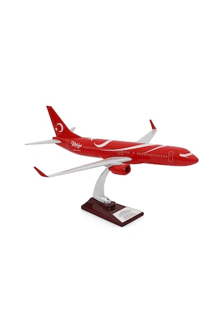 Zekupp - Maket Uçak - Boeing 737-800 1/100 - TÜRKİYE ÖZEL TASARIMLI Model Uçak, Model C
