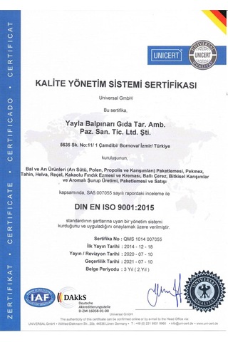 Süzme Çam Balı 5 Kg