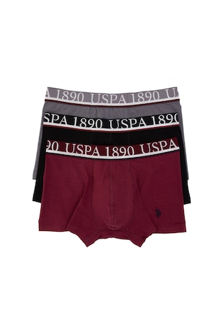 U.S. Polo Assn. Erkek 3'lü Boxer Takımı 50318648-VR014