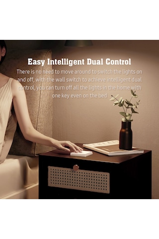 Geeksen Aqara E1 Akıllı Zigbee Duvar Anahtarı - Çift Tuşlu, Uzun Pil Ömrü, Ev Otomasyonu