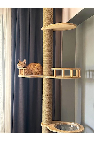 Zeyn Kedi Kulesi Kedi Oyun Kulesi Kedi Tırmala Kulesi Demonte