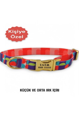 Caramelos Köpek Tasması-küçük Irk Ve Orta Irk İsimli Tasma 18 Turuncu - Yeşil