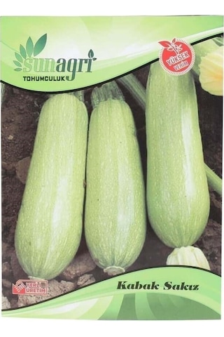 Sunagri Sakız Kabak Tohumu