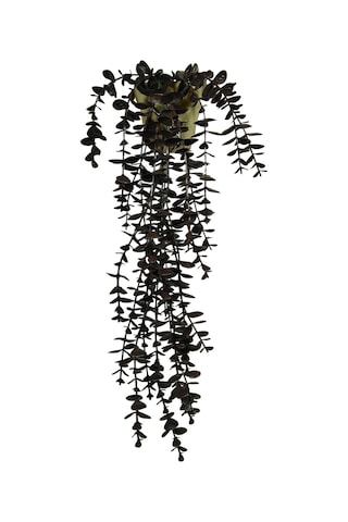 Yapay Çiçek Kahverengi Okaliptus 45 Cm New Collection Gold Elmas Saksıda Yapay Sarkan Bitki Kahverengi