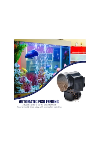 Tcherchi Otomatik Zamanlayıcılı Balık Besleyici