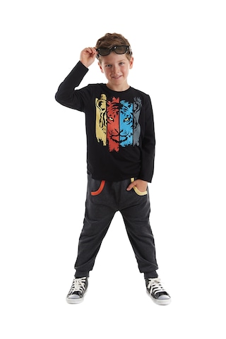 Denokids Mshb&g Kaplan Erkek Çocuk T-shirt Pantolon Takım Çok Renkli