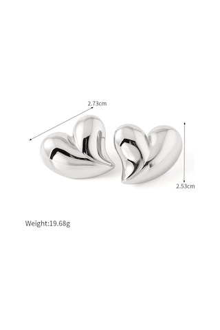 Kadın Özel Tasarım Kalp Küpe Zyn17-5085 Gümüş