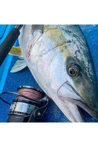 Tailwalk Stealz 14000 7+1bb Olta Makinesi