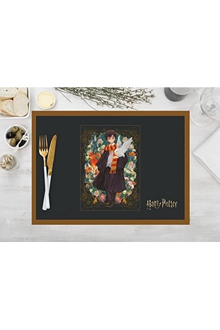 Harry Potter Characters Kumaş Amerikan Servis 4'lü Set 35x50cm Çok Renkli
