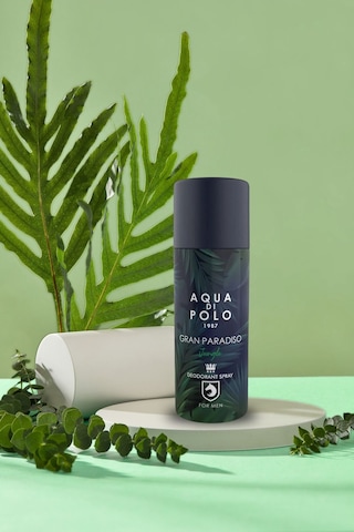 Aqua di Polo 1987 APCA000201 Gran Paradiso Jungle Sprey Deodorant Parfüm 150 ML