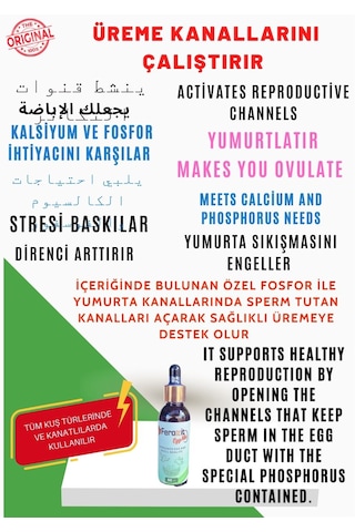 Feroxit Kuşlarda Üreme Ve Yumurta Kanallarını Çalıştırır Egg Mix 50 ML Feroxit Kuşlarda Üreme Ve Yumurta Kanallarını Çalıştırır Egg Mix 50 ML