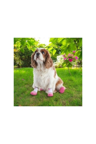 Akınalbella Kaydırmaz Kauçuk Tabanlı Lastikli Köpek Ayakkabısı, Pembe Antrasit