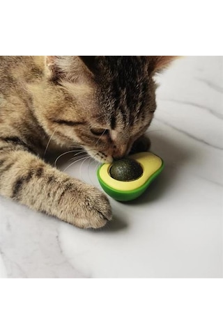 Avokado Model Yapışkanlı Kedi Oyuncağı Yenilebilir Kedi Nanesi Otu 5639