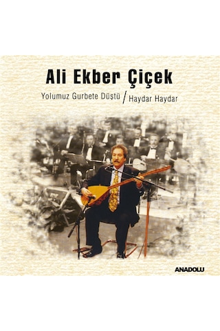Ali Ekber Çiçek - Yolumuz Gurbete Düştü Plak