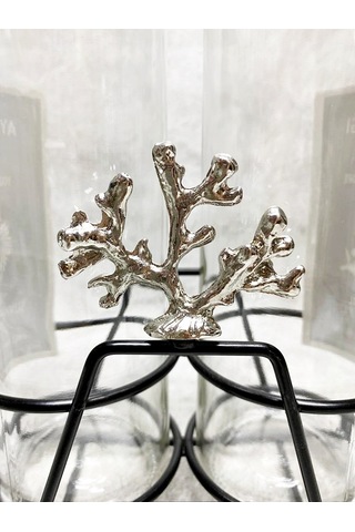 Gümüş Mercan Kısa Stant 2 Adet Şeffaf 750 Ml Etiketli Akıtıcılı Y