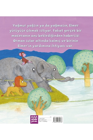 Elmer Ve Sel 9786256324978