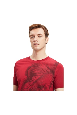 Gsstore Galatasaray Lisanslı Aslan Baskılı T-shirt Kırmızı