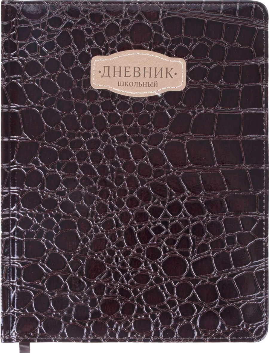 Brauberg Kız Öğrenciler İçin Ve Erkek Öğrenciler İçin 1-11. Sınıflar İçin Okul Günlüğü. 13442731 Kahverengi