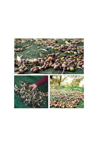 3x6 Metre Zeytin Sergisi Zeytin Toplama Filesi Fındık Fıstık Örtüsü Gölgelik Dut Meyve Sergisi Taban Örtüsü