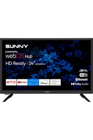 Axen AX24LEDI262C-S 24'' HD Ready Smart LED TV