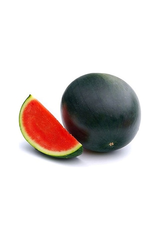 Meşhur Halep Siyah Karpuz Tohumu Ekim Seti 15 Tohum +Saksı+Topra