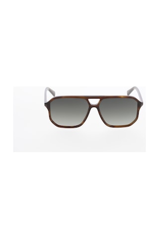 Hawk 2249 03 G Erkek Güneş Gözlüğü Leopar