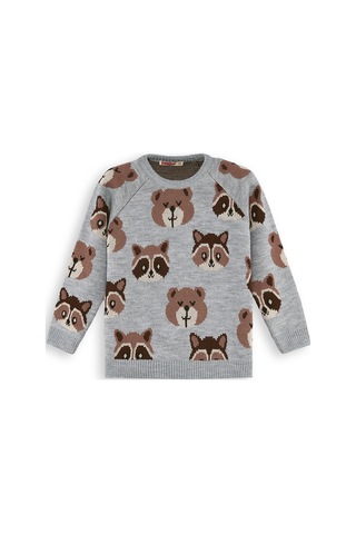 Denokids Ayı Rakun Erkek Çocuk Gri Triko Kazak Renkli