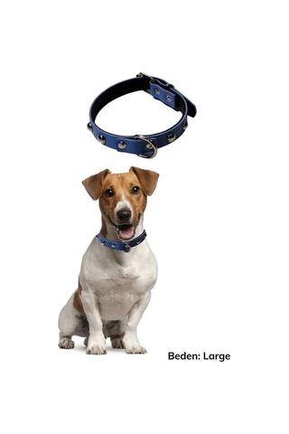 Durukar Yumuşak Dokulu Deri Köpek Gezdirme Boyun Tasması Large