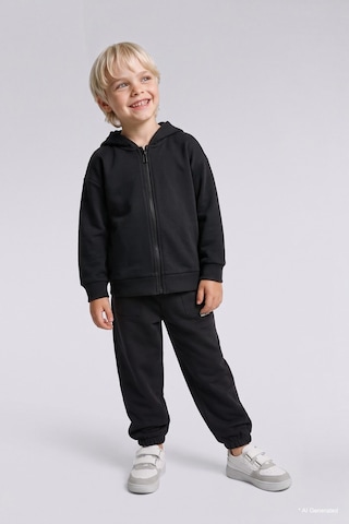 Defacto Kapüşonlu Fermuarlı Kalın Sweatshirt Kumaşı Basic Sweatshirt Hırka Erkek Bebek I4196a526wnar221 Antrasit-ar221