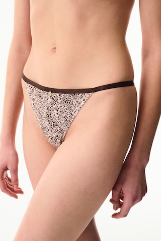 Penti Renkli Micro Lace Brazilian