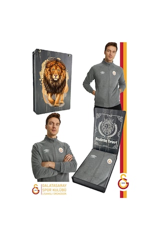 Gsstore Galatasaray Lisanslı Dik Yaka Fermuarlı Gri Sweat Gs Aslan Baskılı Hediyelik Ahşap Kutulu Gri