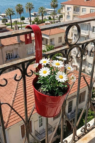 5'li Askılı Çok Amaçlı Dekoratif Galvaniz Saksı Kova Kırmızı
