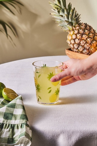 Karaca Pina Akrilik Su Bardağı 440 ml Şeffaf