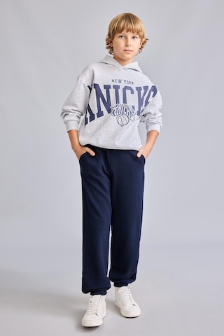Defacto Nba New York Knıcks Kapüşonlu İçi Yumuşak Tüylü Sweatshirt Erkek Çocuk I2237a826wngr400 Gri-gr400