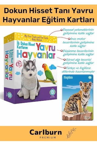 Özel Üretim Görsel Algı Eğlenceli Öğrenme Gelişim Dokun Hisset Tanı Yavru Hayvanlar Eğitim Kartları