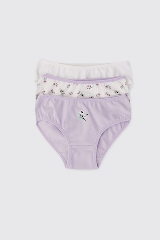 Panço Kız Çocuk Renkli 3'lü Slip Seti 2612gk14001