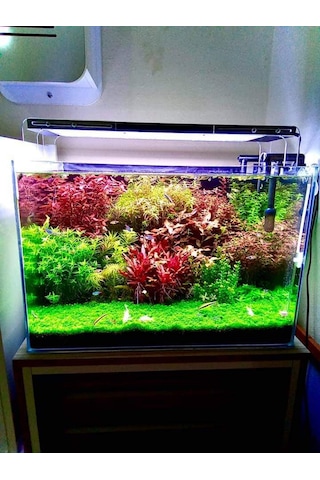 Armatürk 2050H Akvaryum Armatürü 50 CM