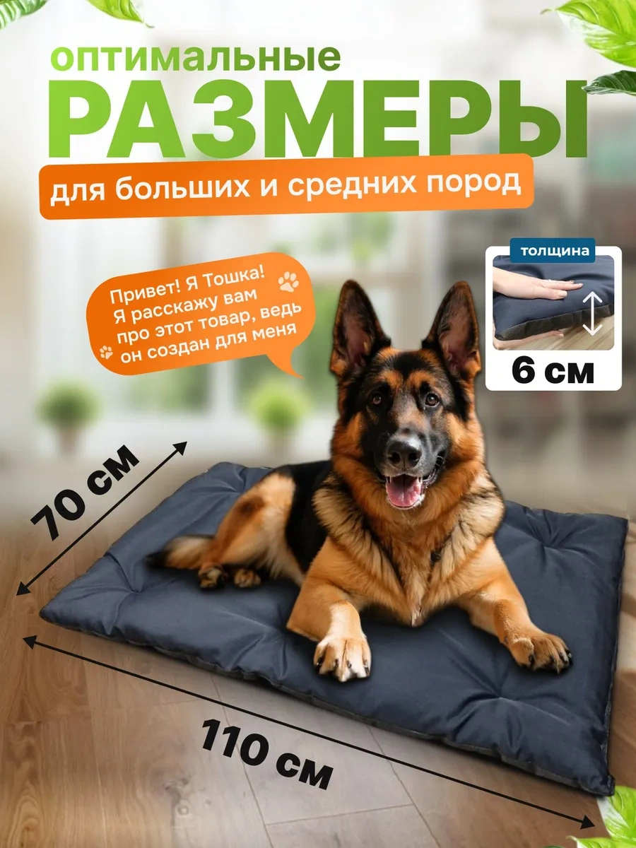 Gurenkot Köpek Yatağı 250338476